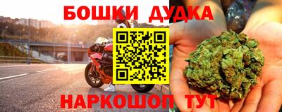 крисы Лесосибирск