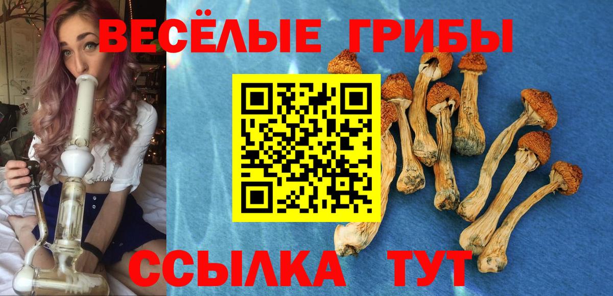 Ирбит  Псилоцибиновые грибы Psilocybine cubensis  Галлюциногенные грибы ЛСД  Вход с VPN 