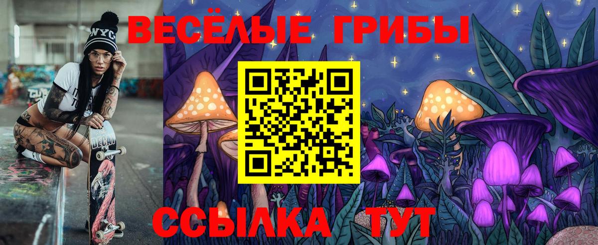 Псилоцибиновые грибы мицелий Ирбит